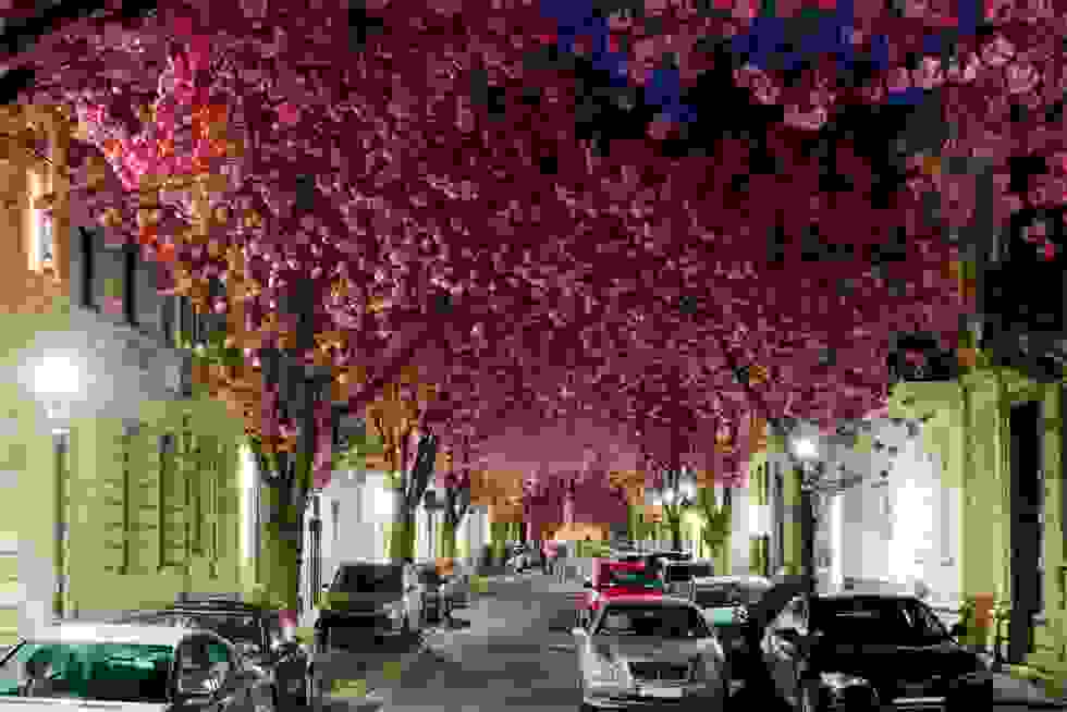anoiksi-se-olo-ton-kosmo-germany.jpg