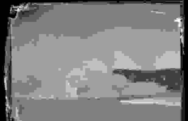 antarctica10