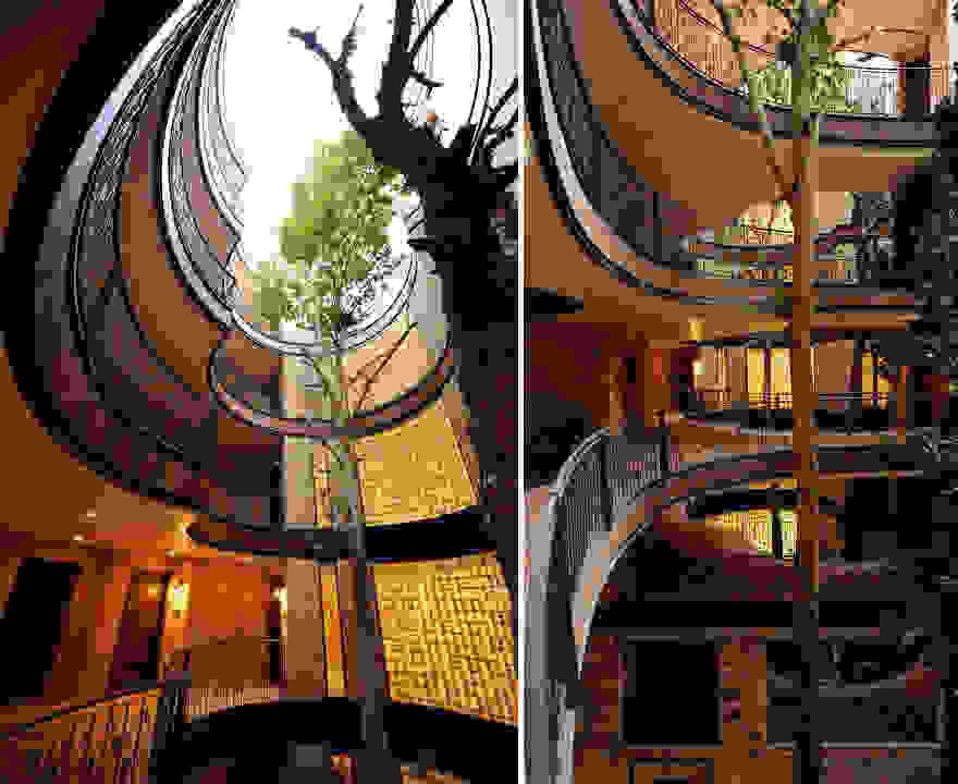architecture-around-the-trees-10.jpg