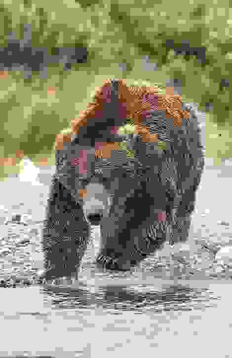 arkoydes-ston-aera0.jpg