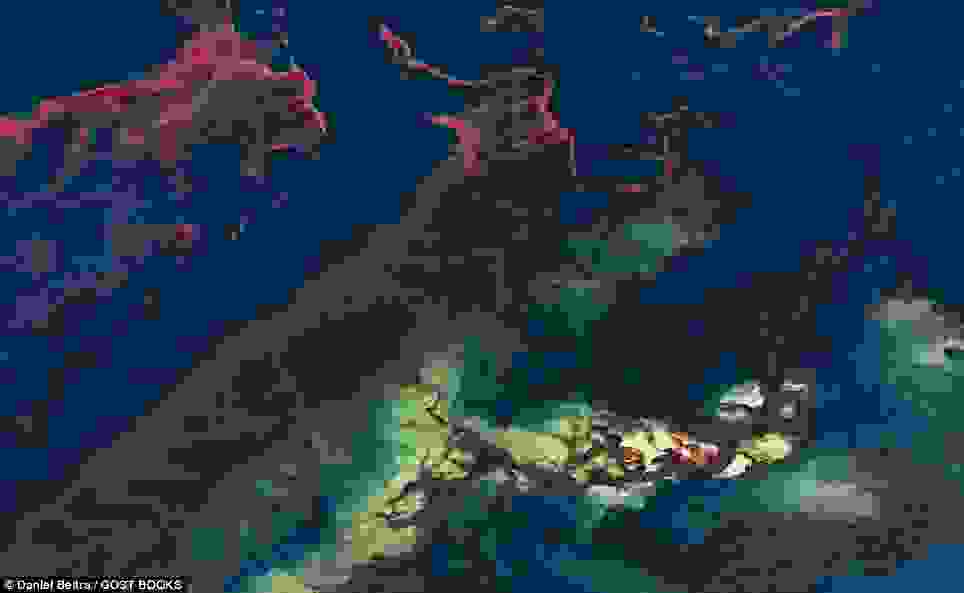article-2523669-1A183F0200000578-645 964x593