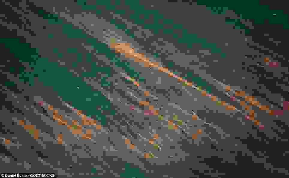 article-2523669-1A183F0A00000578-922 964x594