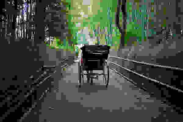 bambooforest9.jpg
