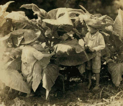 big-childrenlabour2.png