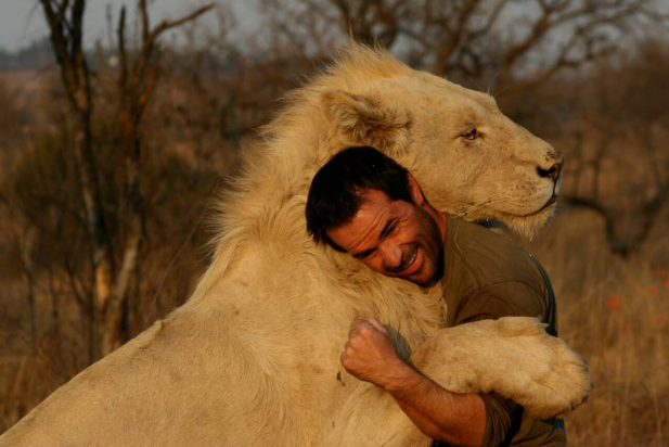 big-lion_1.png