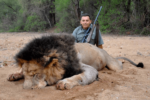 big-lion_2.png
