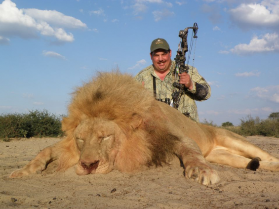 big-lion_3.png