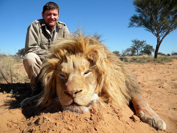 big-lion_6.png