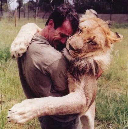 big-lion_8.png