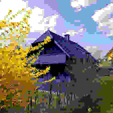 bluehouse6.jpg