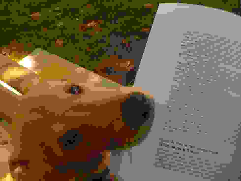 book-animals-7.jpg