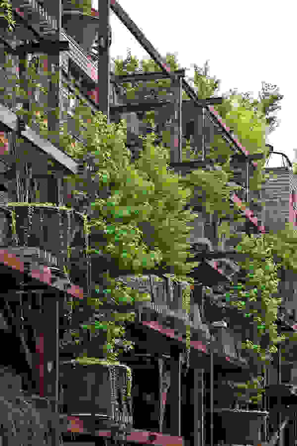building-trees-4.jpg