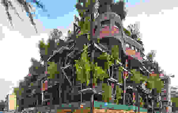 building-trees-5.jpg