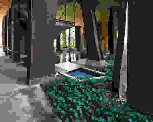 building-trees-6.jpg