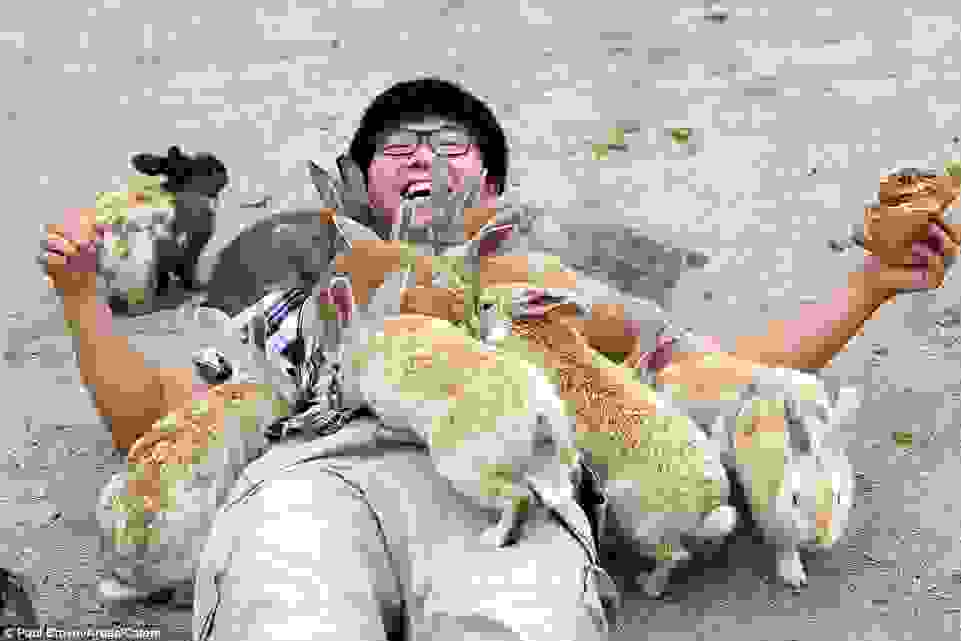 bunnies-japan3.jpg