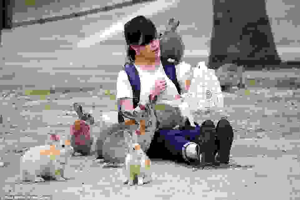 bunnies-japan7.jpg