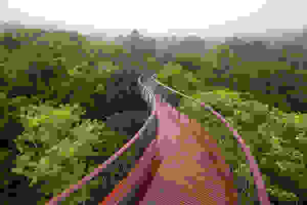 canopy1.jpg
