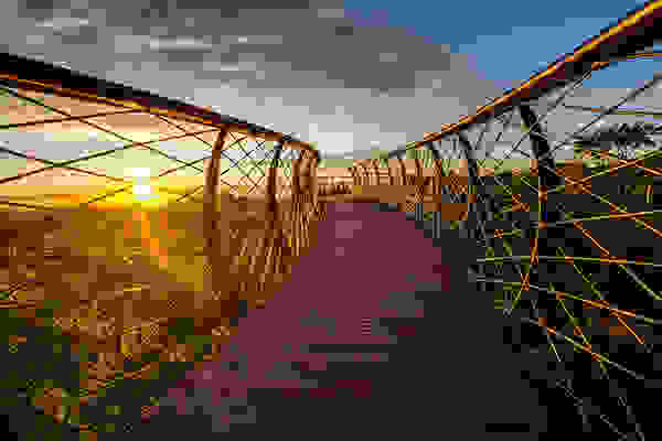 canopy2.jpg