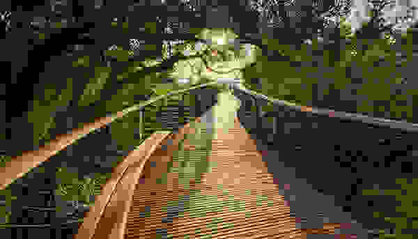 canopy4.jpg
