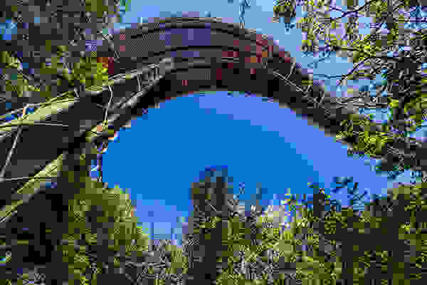 canopy5.jpg