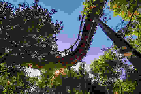 canopy7.jpg