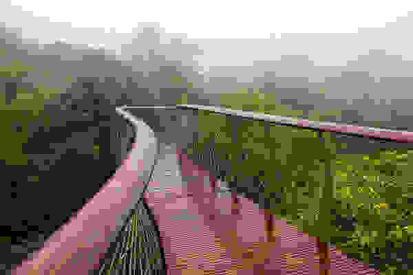 canopy8.jpg