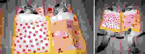 cat-before-after-200.jpg