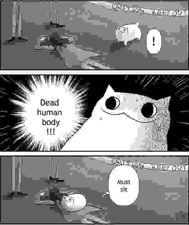 cat-logic-funny-38__605.jpg