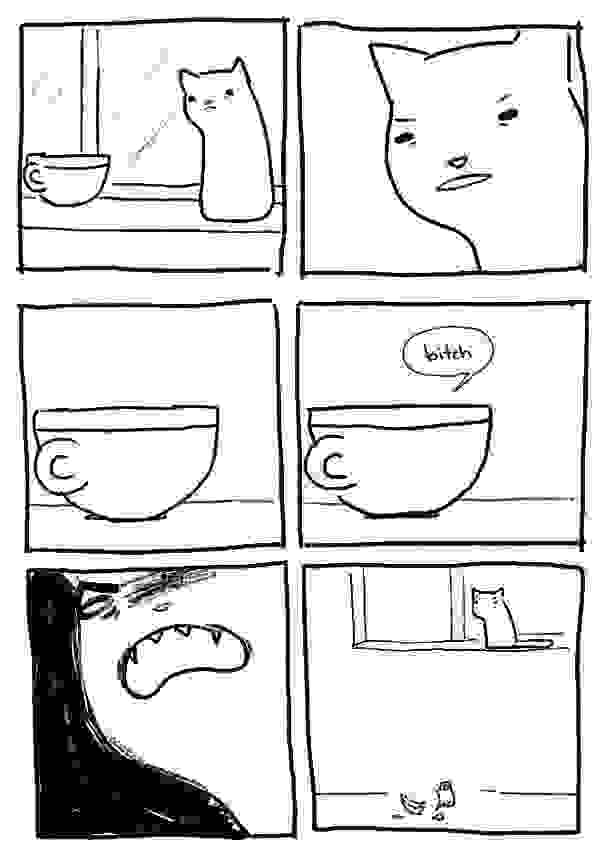 cat-logic-funny-411__605.jpg