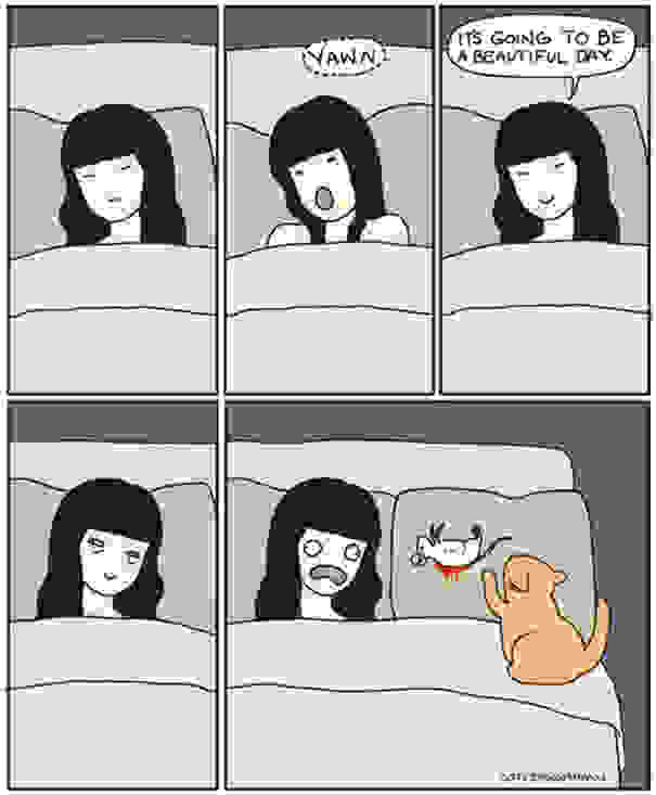 cat-logic-funny-59__605.jpg