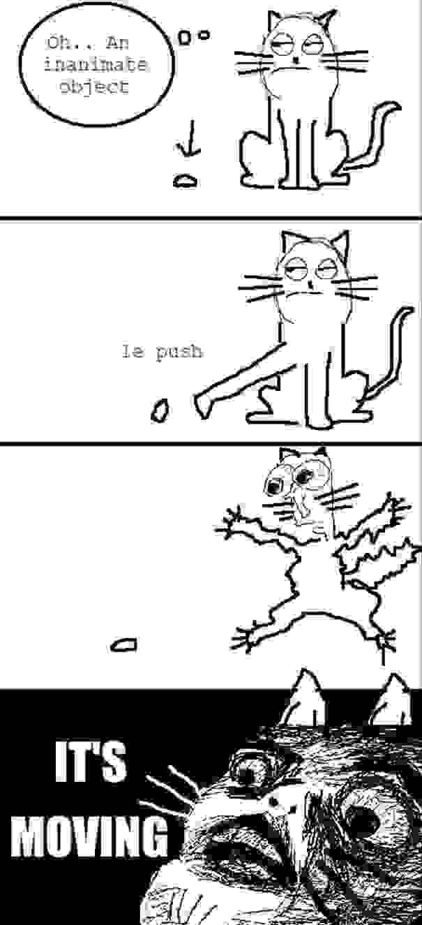 cat-logic-funny-63__605.jpg