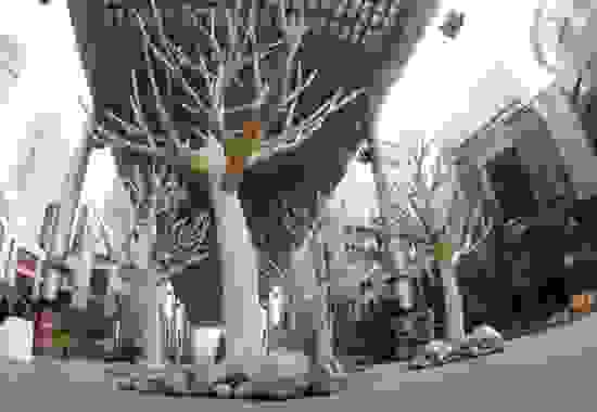 chopstick-trees-1.jpg