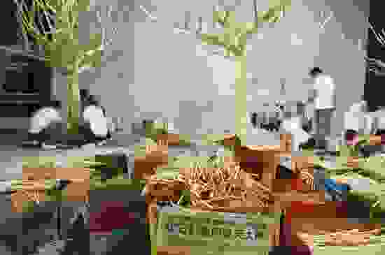 chopstick-trees-4.jpg