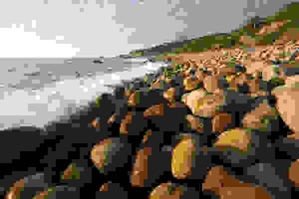 coast11