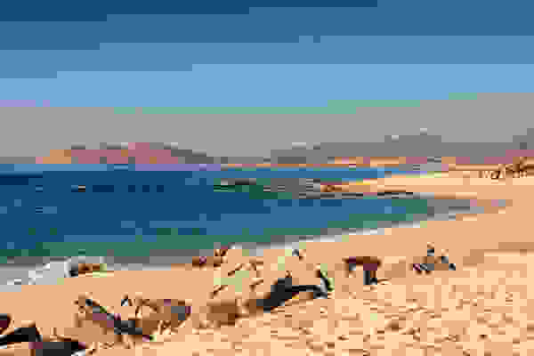 coast18
