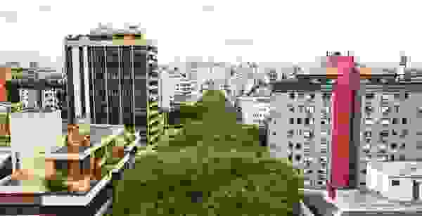 concalo1.jpg