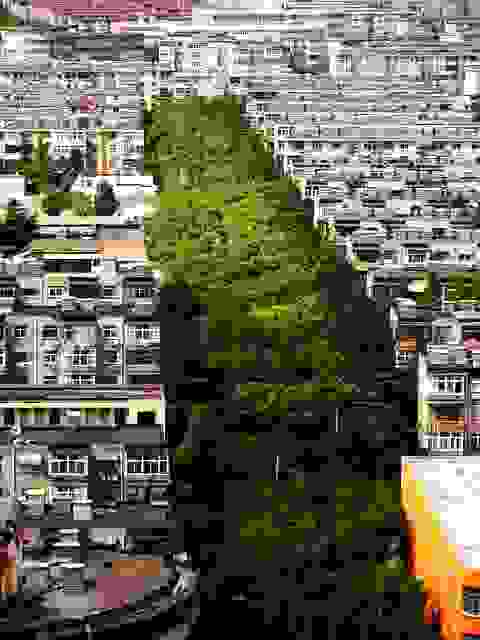 concalo5.jpg