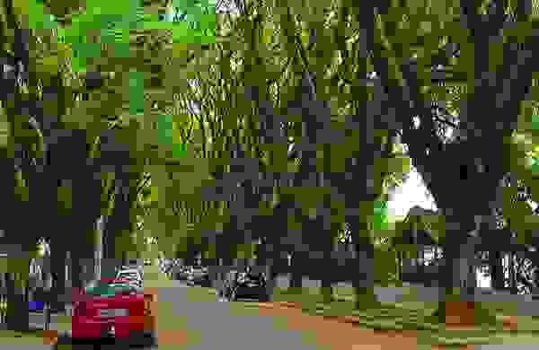 concalo6.jpg