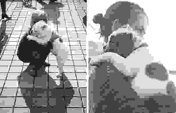 cute-dogs-hugging-humans-5.jpg