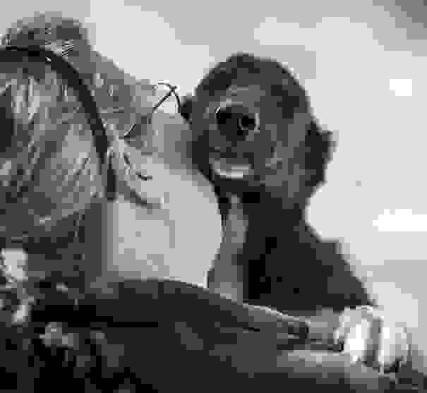 cute-dogs-hugging-humans-84.jpg