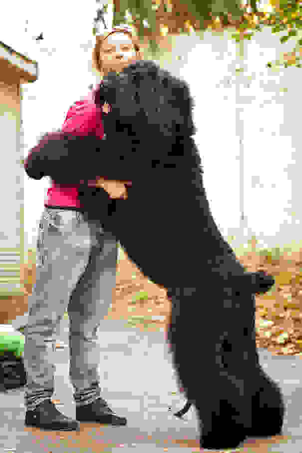 cute-dogs-hugging-humans-85.jpg