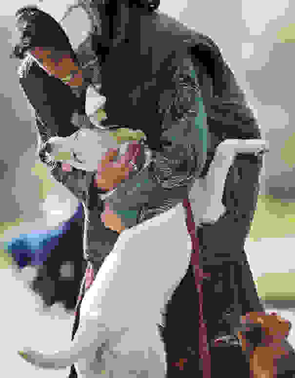 cute-dogs-hugging-humans-94.jpg