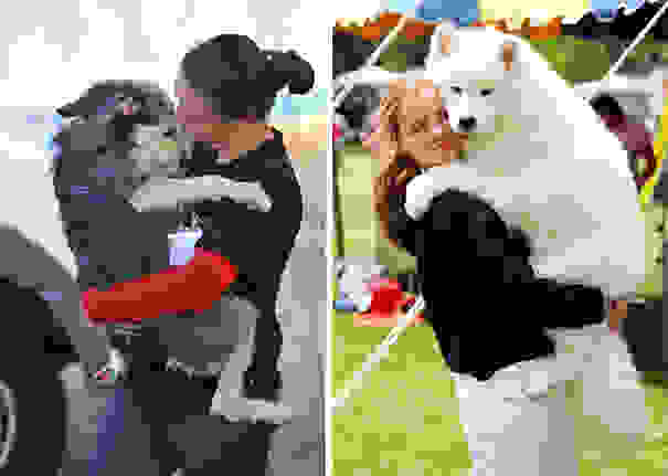 cute-dogs-hugging-humans-96.jpg