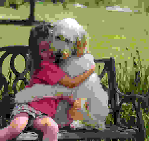 cute-dogs-hugging-humans-98.jpg