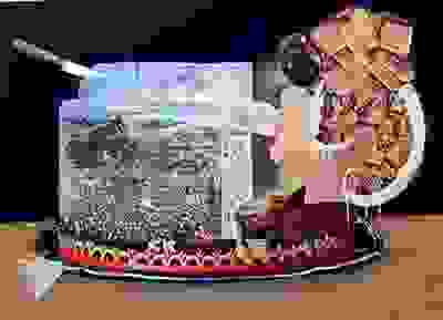 dali-cook-3.jpg