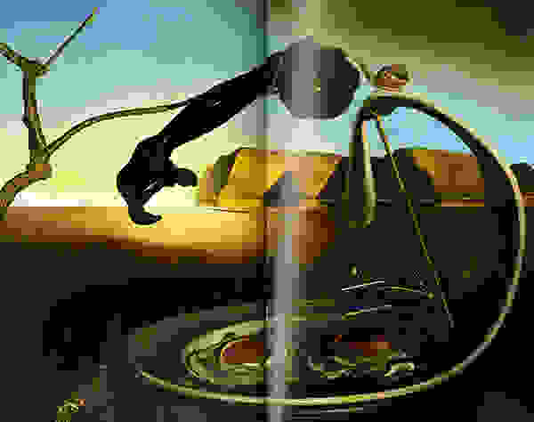 dali-cook-7.jpg