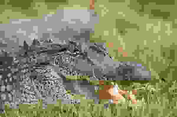 dange4.jpg