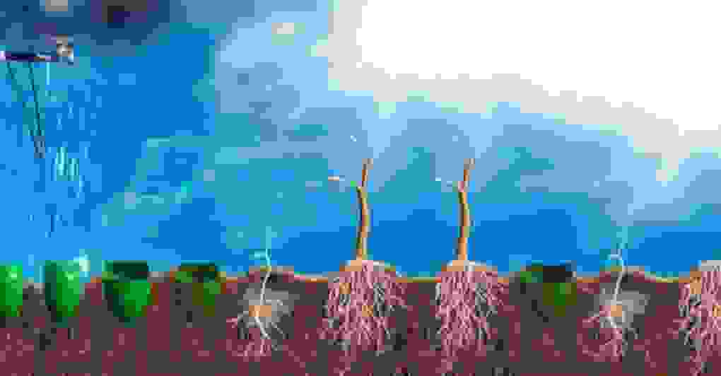 dasos-drones2.jpg
