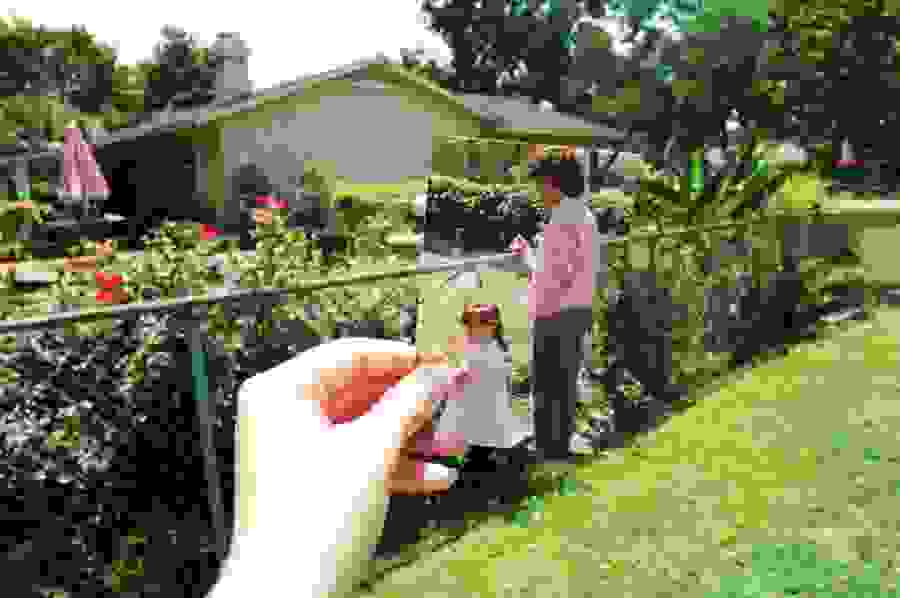 dear-photograph12.jpg