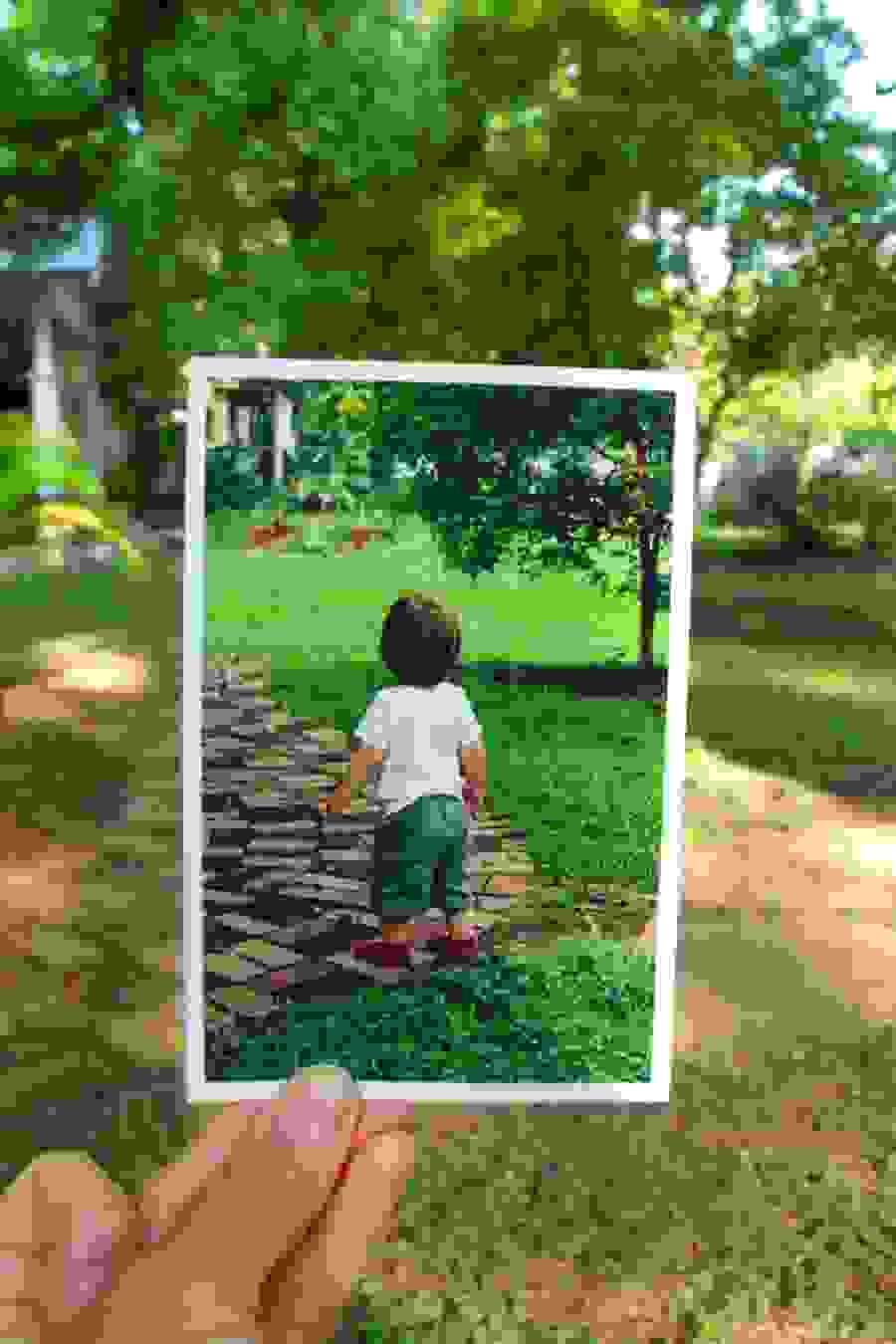 dear-photograph2.jpg